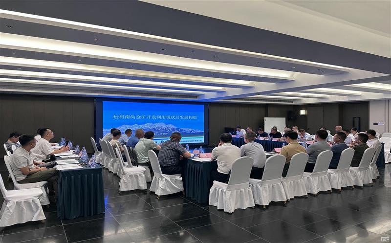 聚智谋远定思路 拓启新程绘新篇——鑫顺矿业组织开展松树南沟金矿整体开发专题研讨会