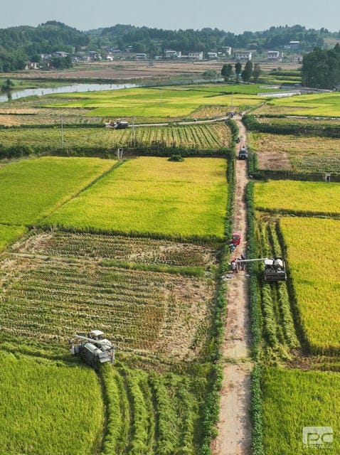 安博电竞·(anbo)官方网站