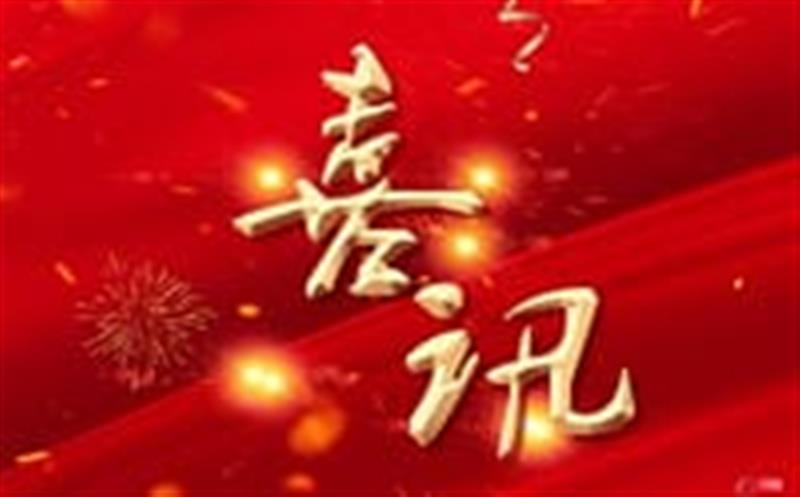 “双喜临门”！区调队（容大集团）成功竞得两宗金矿探矿权