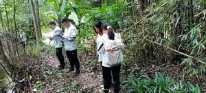 安博电竞·(anbo)官方网站