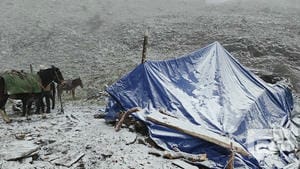 安博电竞·(anbo)官方网站