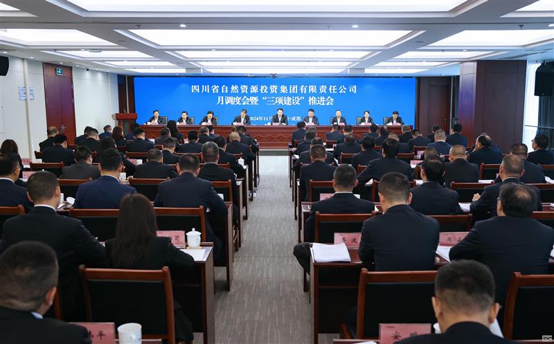 集团召开月调度会暨“三项建设”推进会