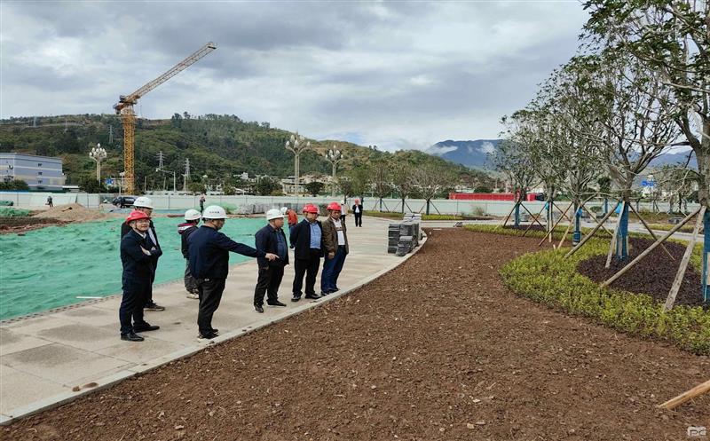 核西南建设集团领导到文体中心项目检查指导工作