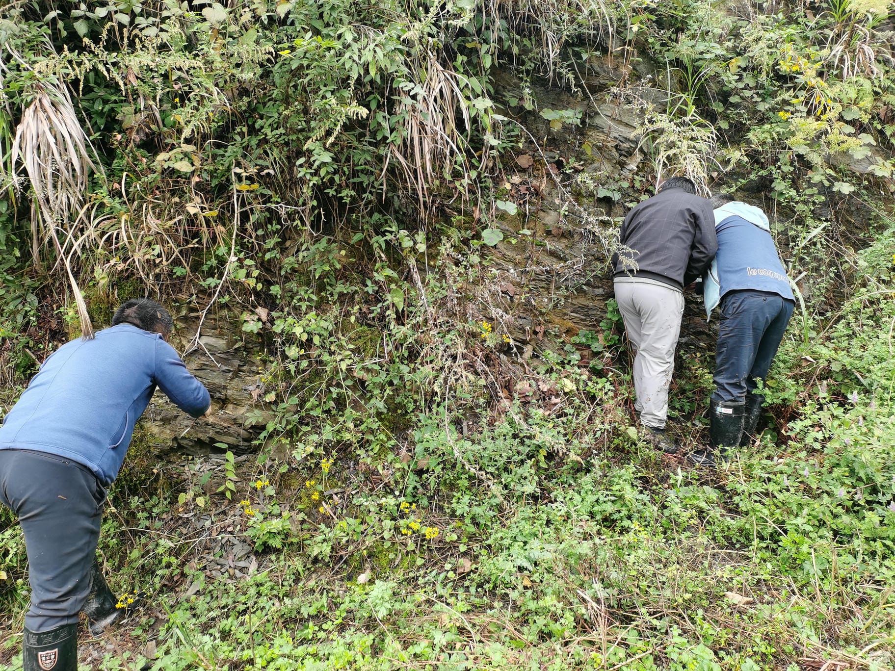 安博电竞·(anbo)官方网站