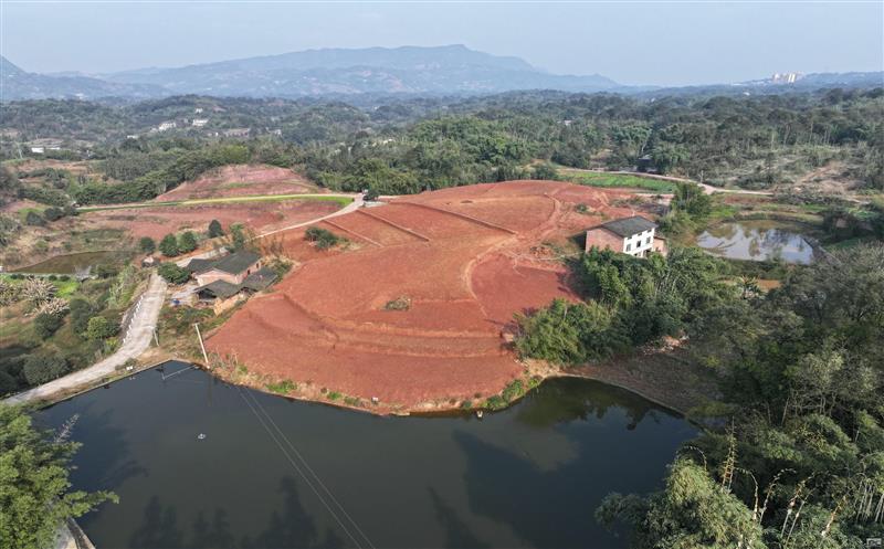 正式签约——泸州市纳溪区与马尔康市签订指标流转协议