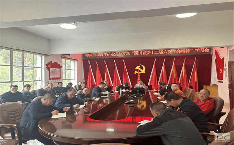 公司领导到青羊矿业宣讲四川省委十二届六次全会精神