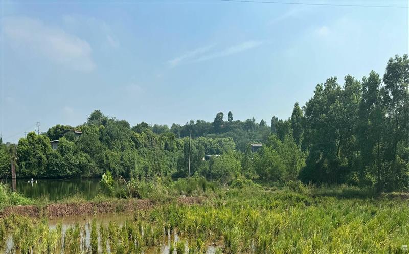 流转服务公司成功促成多地签订指标流转协议