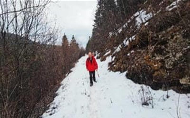 捷报频传，，，，，，区调队再中标凉山州地勘基金项目