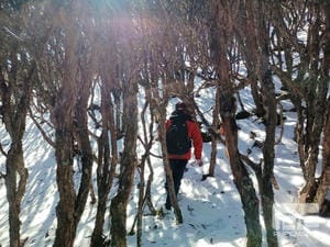 安博电竞·(anbo)官方网站