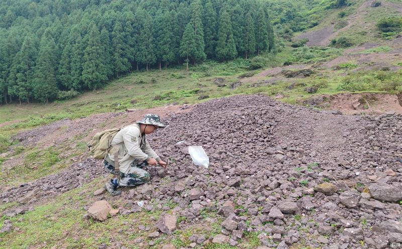 托底帮扶项目《雷波县优势矿产安博电竞调查评价》通过四川安博电竞集团成果验收
